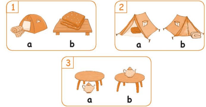 Sách bài tập Tiếng Anh lớp 2 Unit 16 At the campsite