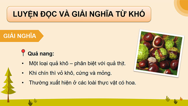 PowerPoint Tiếng Việt 5 Ban mai