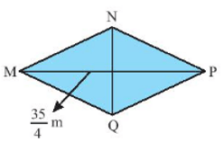 Bài 6 trang 28 Toán 7 Tập 1 Chân trời sáng tạo