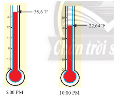 Bài 8 trang 28 Toán 7 Tập 1 Chân trời sáng tạo
