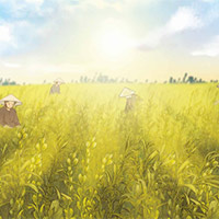 Giáo án Tiếng Việt 5: Mùa vừng