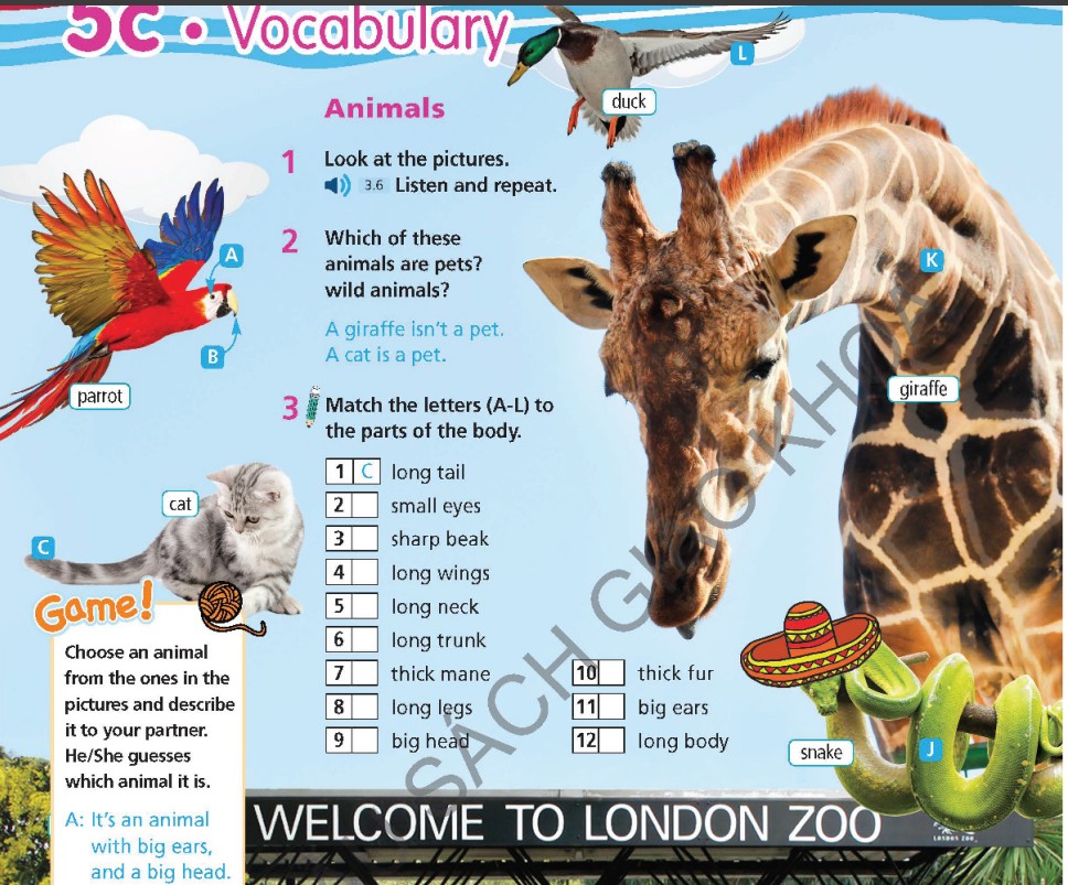 Tiếng Anh 6 Right On Unit 5 5c Vocabulary