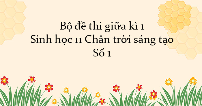 Bộ đề thi giữa kì 1 Sinh học 11 Chân trời sáng tạo - Số 1