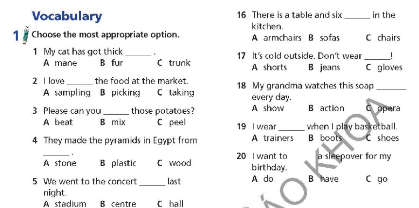 Tiếng Anh 6 Review Units 1 - 6 trang 118 119