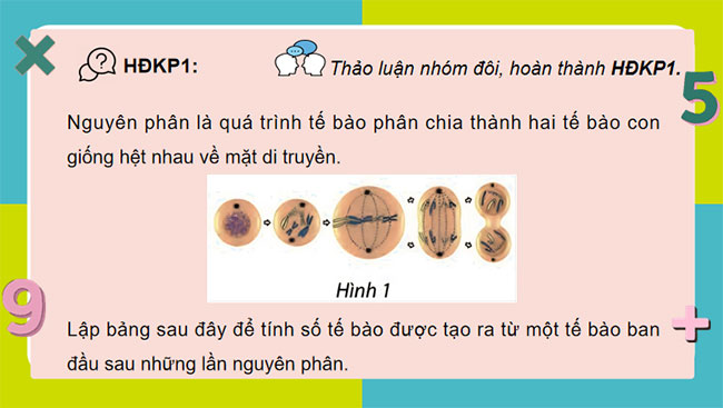 Hàm số mũ Hàm số lôgarit