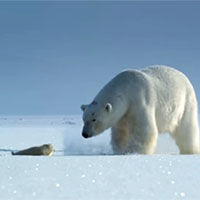 Giáo án Ngữ văn 8 Bài 9: Choáng ngợp và đau đớn những cảnh báo từ loạt phim Hành tinh của chúng ta  