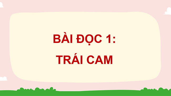 PowerPoint Tiếng Việt 5 Trái cam
