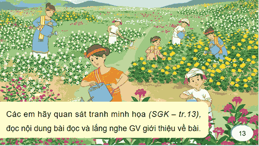 Bài 2: Cánh đồng hoa