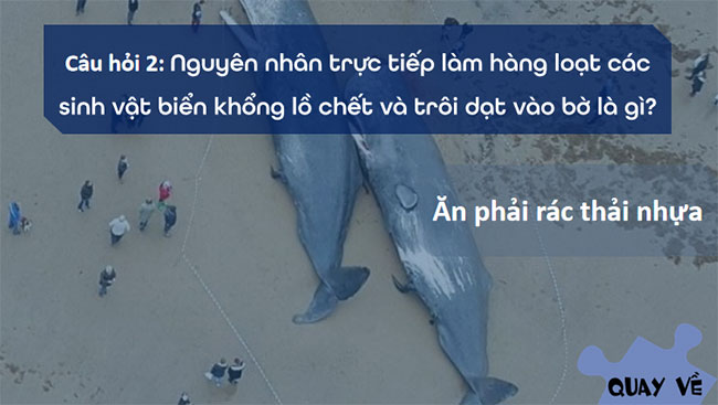 Môi trường và bảo vệ môi trường