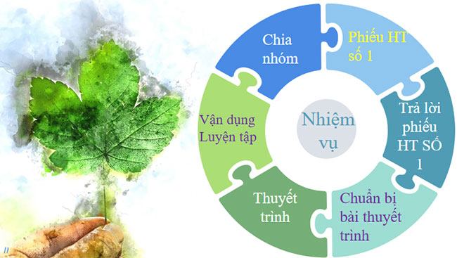 Tác động của việc sử dụng năng lượng ở Việt Nam