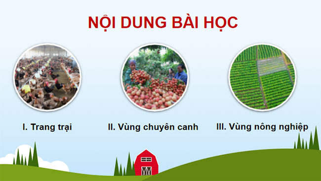 Giáo án PowerPoint Địa lí 12 Bài 11 Cánh diều