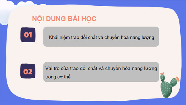 Giáo án PowerPoint Khoa học tự nhiên 7 Cánh diều Bài 17
