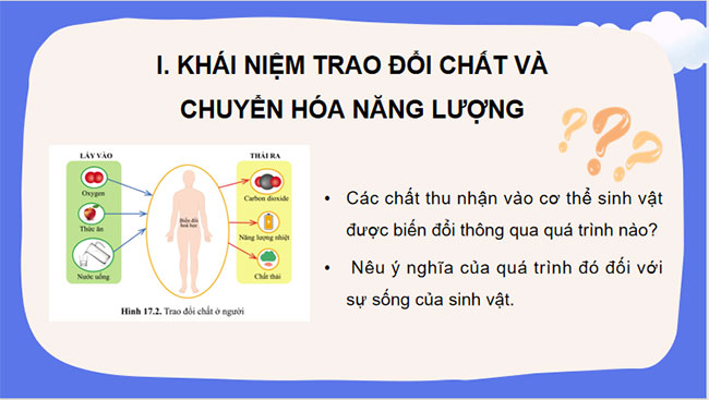 Giáo án PowerPoint Khoa học tự nhiên 7 Cánh diều Bài 17