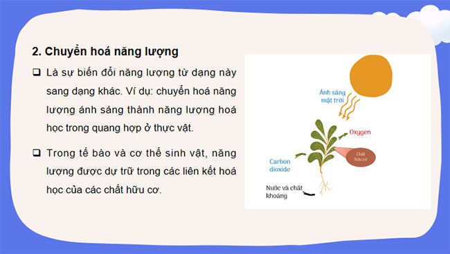 Giáo án PowerPoint Khoa học tự nhiên 7 Cánh diều Bài 17