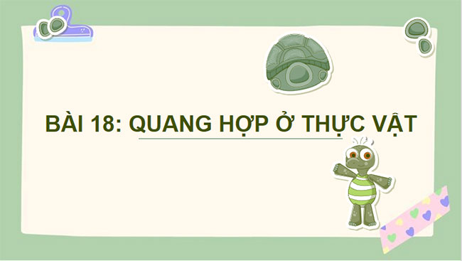 Giáo án PowerPoint Khoa học tự nhiên 7 Cánh diều Bài 18
