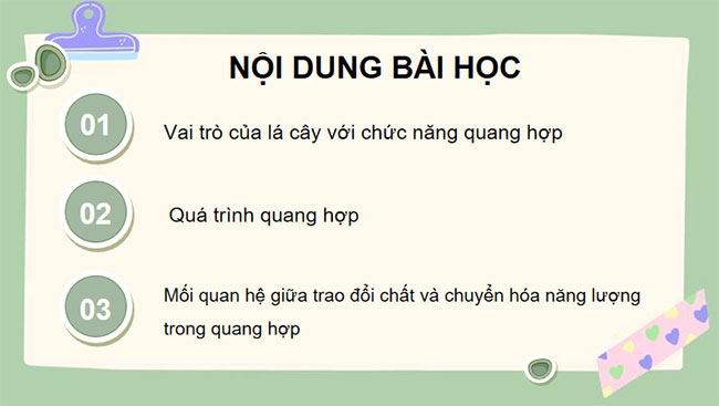 Giáo án PowerPoint Khoa học tự nhiên 7 Cánh diều Bài 18