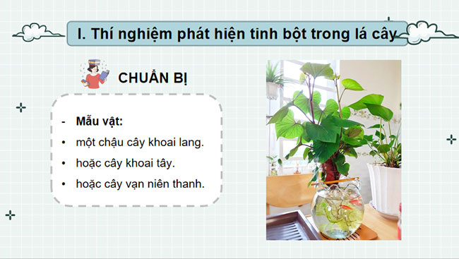 Giáo án PowerPoint Khoa học tự nhiên 7 Cánh diều Bài 20