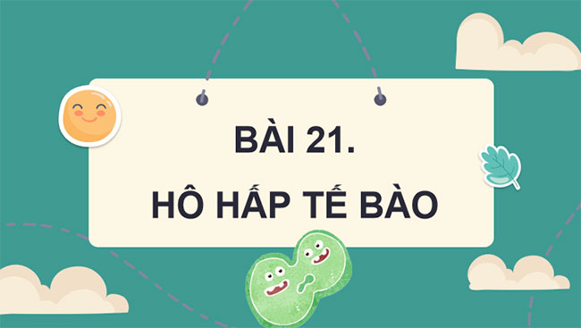 Giáo án PowerPoint Khoa học tự nhiên 7 Cánh diều Bài 21