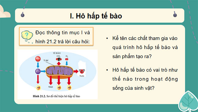 Giáo án PowerPoint Khoa học tự nhiên 7 Cánh diều Bài 21