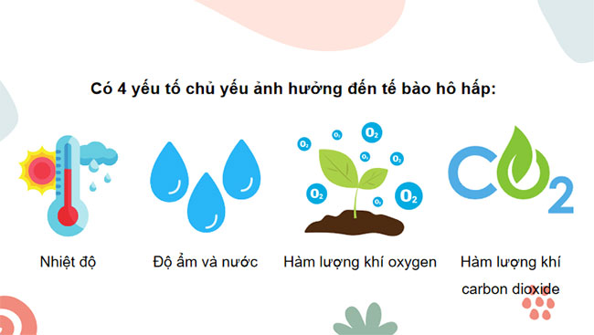 Giáo án PowerPoint Khoa học tự nhiên 7 Cánh diều Bài 22