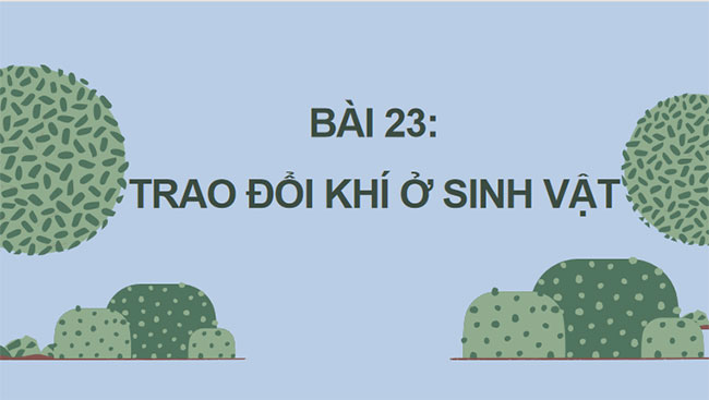 Giáo án PowerPoint Khoa học tự nhiên 7 Cánh diều Bài 23