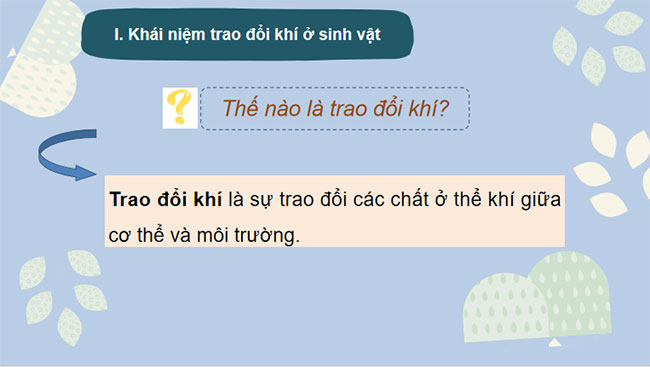 Giáo án PowerPoint Khoa học tự nhiên 7 Cánh diều Bài 23