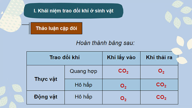 Giáo án PowerPoint Khoa học tự nhiên 7 Cánh diều Bài 23