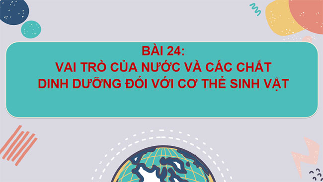 Giáo án PowerPoint Khoa học tự nhiên 7 Cánh diều Bài 24