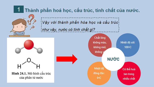 Giáo án PowerPoint Khoa học tự nhiên 7 Cánh diều Bài 24