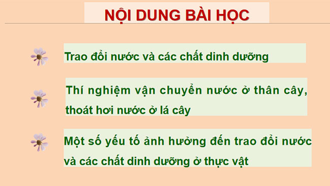 Giáo án PowerPoint Khoa học tự nhiên 7 Cánh diều Bài 25