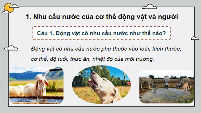 Giáo án PowerPoint Khoa học tự nhiên 7 Cánh diều Bài 26