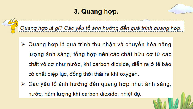 Giáo án PowerPoint Khoa học tự nhiên 7 Cánh diều Bài tập Chủ đề 8