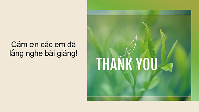 PowerPoint Ngữ văn 6 Bài 1: Hội thổi cơm thi ở Đồng Vân