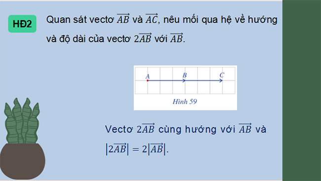 Giáo án Toán 10 Cánh diều Chương 4 Bài 5