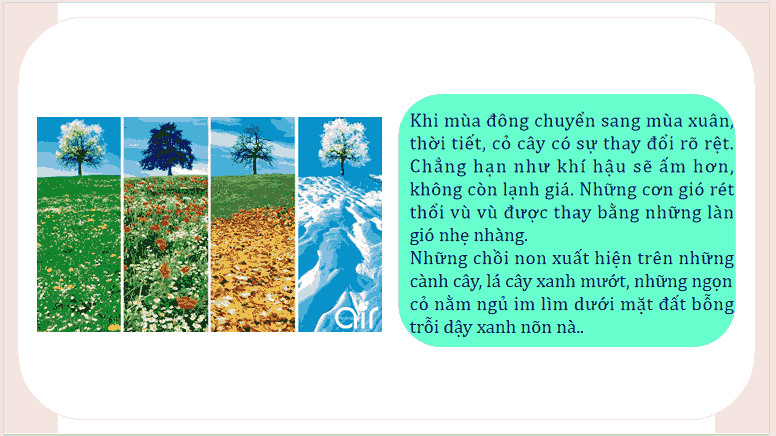 Giáo án Tiếng Việt lớp 5 Bài 13: Mầm non