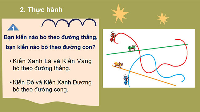 PowerPoint Toán 2: Đường thẳng - Đường cong