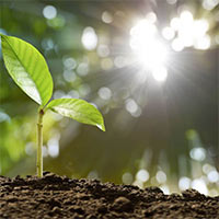 Giáo án Khoa học 4 Bài 9: Ánh sáng với đời sống