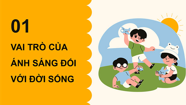 PowerPoint Khoa học 4 Ánh sáng với đời sống