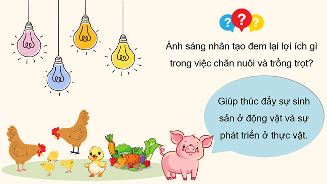 PowerPoint Khoa học 4 Ánh sáng với đời sống