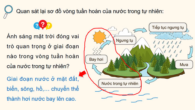 PowerPoint Khoa học 4 Ánh sáng với đời sống