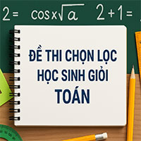 Đề chọn học sinh giỏi Toán 9 năm 2024 – 2025 sở GD&ĐT Vĩnh Phúc