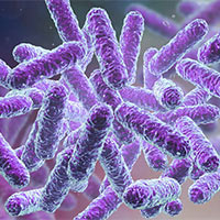 Giáo án Khoa học tự nhiên 6 Bài 9: Sự đa dạng của chất