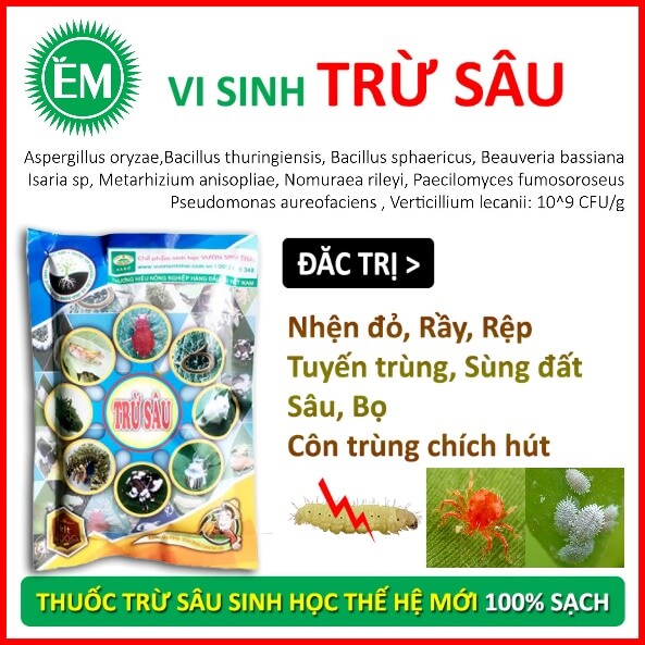 Lý thuyết Sinh 10 Kết nối tri thức Bài 21: Trao đổi chất, sinh trưởng và sinh sản ở vi sinh vật