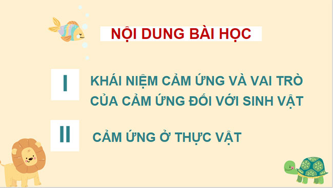 Giáo án PowerPoint Khoa học tự nhiên 7 Bài 27 Cánh diều