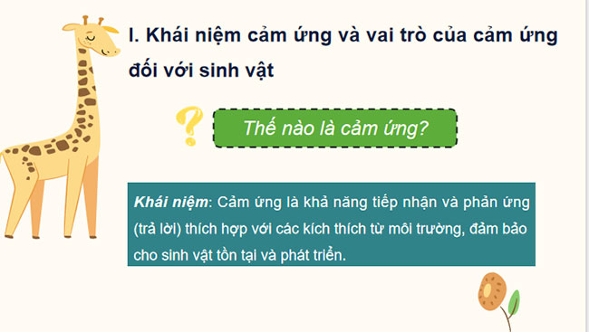 Giáo án PowerPoint Khoa học tự nhiên 7 Bài 27 Cánh diều