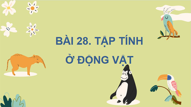 Giáo án PowerPoint Khoa học tự nhiên 7 Bài 28 Cánh diều