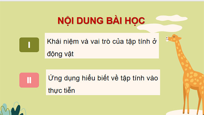 Giáo án PowerPoint Khoa học tự nhiên 7 Bài 28 Cánh diều