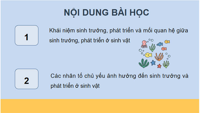 Giáo án PowerPoint Khoa học tự nhiên 7 Bài 29 Cánh diều