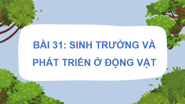 Giáo án PowerPoint Khoa học tự nhiên 7 Bài 31 Cánh diều