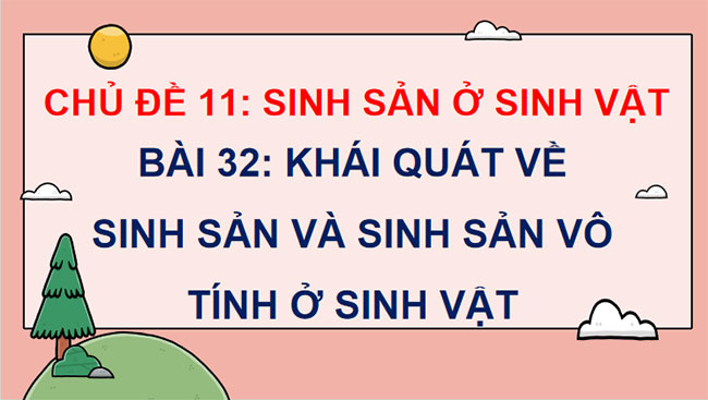 Giáo án PowerPoint Khoa học tự nhiên 7 Bài 32 Cánh diều